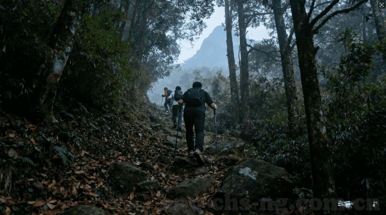 炸金花在线玩小游戏-炸金花在线玩小游戏，娱乐新选择